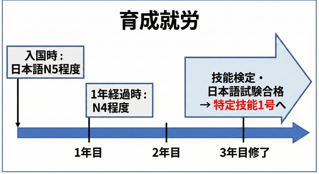 ポイント②特定技能へのキャリアパスを見据えた育成計画を行う